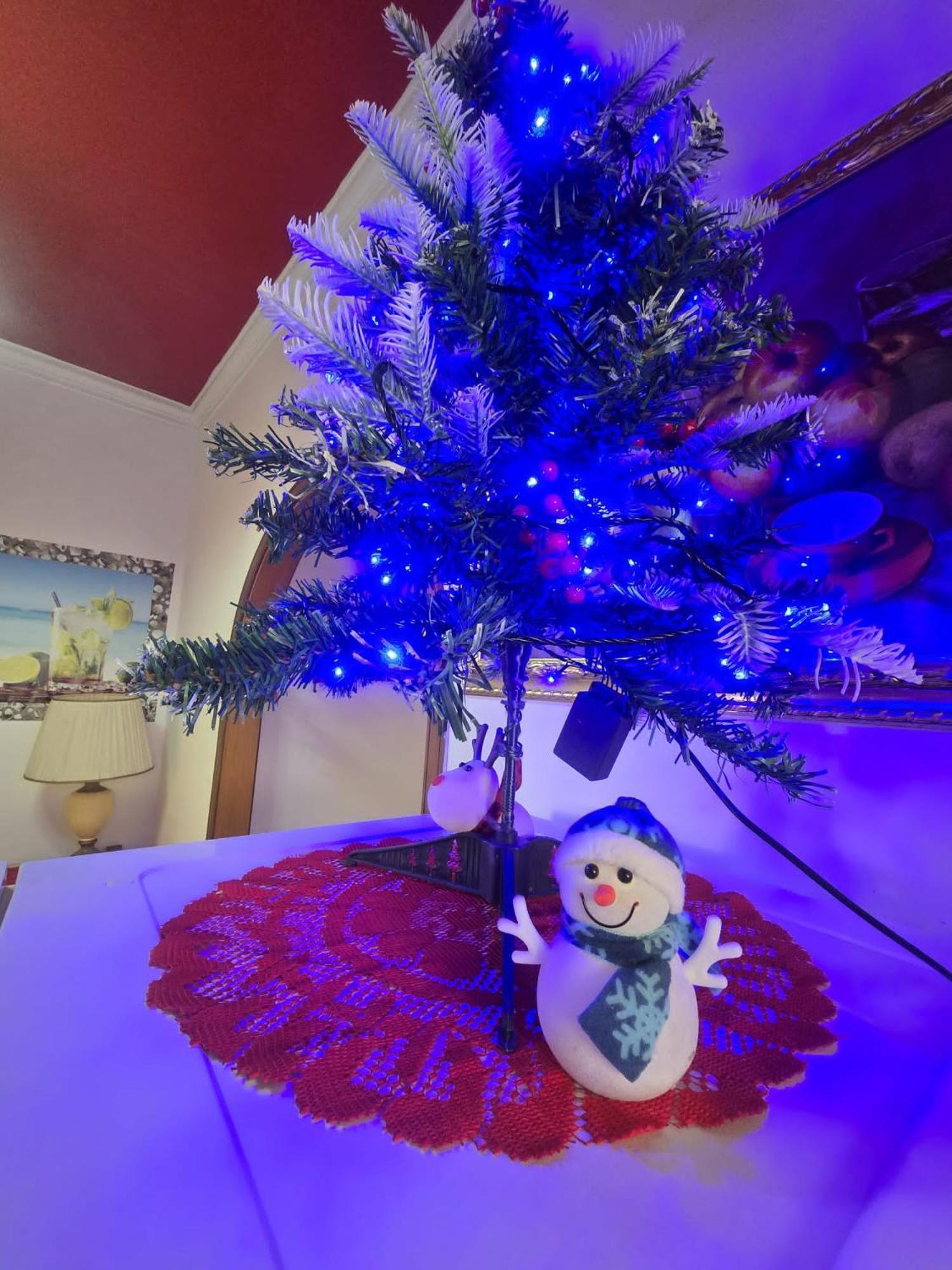 Blue Oasis Home Vaccarizzo-Delfino Εξωτερικό φωτογραφία